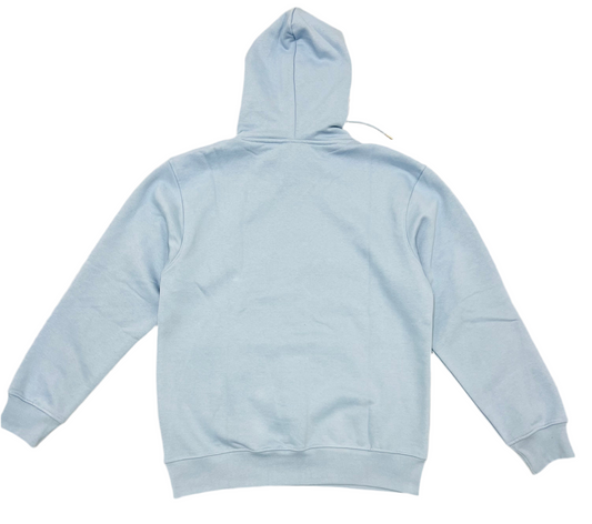 NICCE Centre Logo Hood